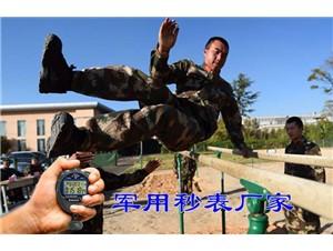 陸軍健身(shēn)秒(miǎo)表測試記錄